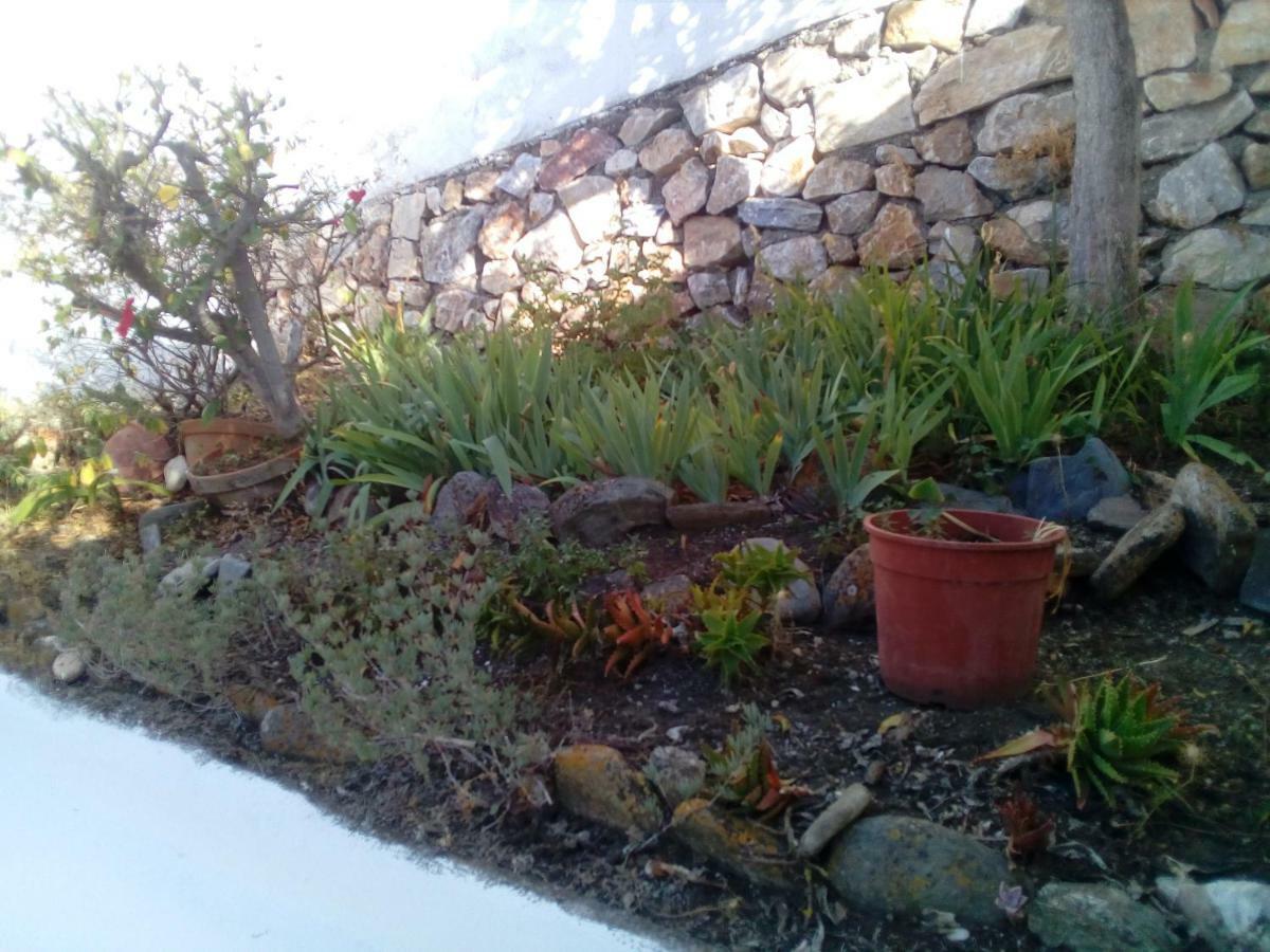 Chalecito En La Herradura- Casa Kwetu Ла-Эррадура Экстерьер фото